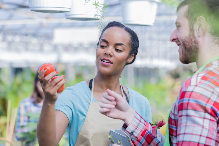  Skills assessments for horticulture migrant workers