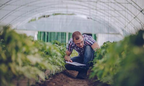 agriculture assessment